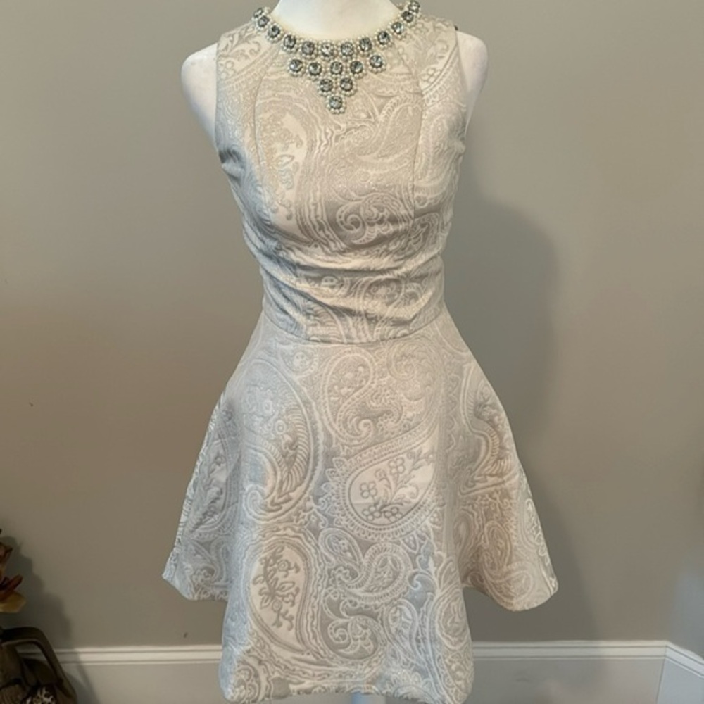 Ted Baker Beautiful Dress